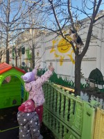 Изображение для новости Изображение для новости